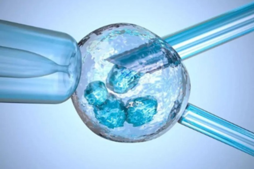 助孕生殖公司：「白带异常」出现白带异常