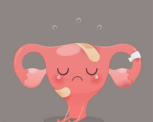 绍兴供卵要多少钱国外供卵机构可靠代怀机构