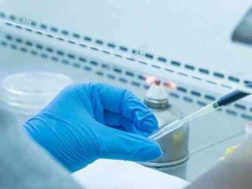 私立借卵中心流程中的促排是什么？国内代生选性别