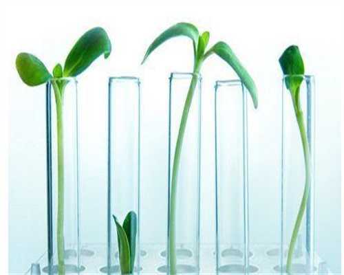 供卵增卵机构：除了验孕棒还有什么能测出怀孕