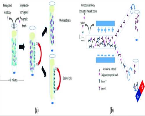 2026做第三代试管婴儿高成功率的价格！