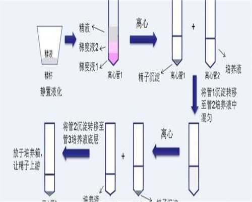 包成功保性别_温州供卵需要等多久,温州附二生殖科赵军招做二代试管婴儿技术