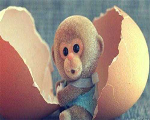 湖南赠卵试管助孕包男孩费用50岁借卵试管助孕包男孩试管助孕包男孩代怀第四