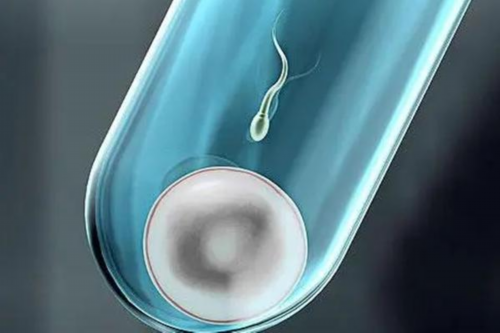 输卵管堵塞做试管婴儿价格，输卵管堵塞做试管需要多少钱？