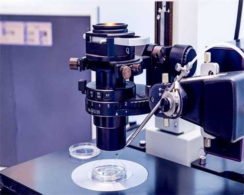 「怀孕胎停和狗狗有关系吗」胎停狗做试管多少钱