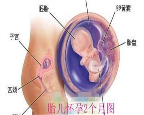 2026年温州可以做试管三代医院名单，流程是怎样的