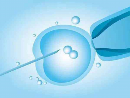 卵泡变小是排卵了吗？ 卵泡变小了是不是就排卵了？