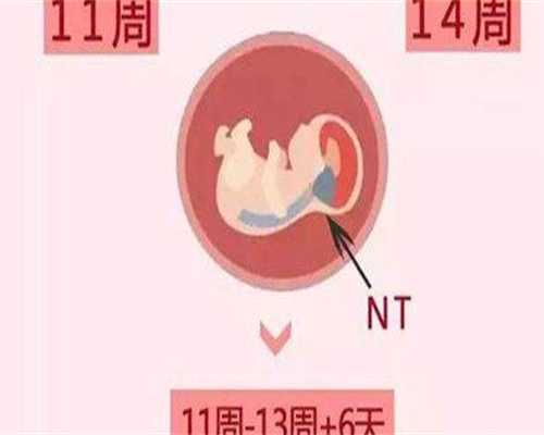 试管代生收费：AMH值与卵巢早衰有关吗amh值低就是卵巢早衰吗