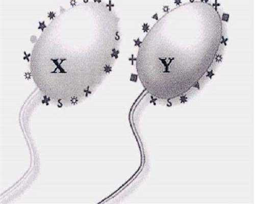 供卵增卵机构：高龄妇女快速怀孕偏方