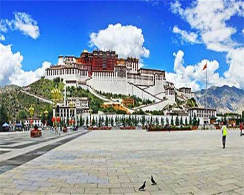 输卵管堵了怎么做试管 输卵管堵塞做试管的成功率高吗