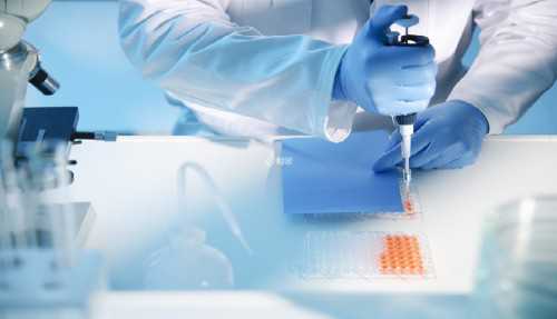 供卵试管联系：温州第三代试管婴儿成功率多高