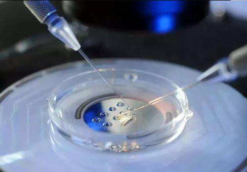 试管代怀生子：重庆什么是雌二醇促排卵雌二醇指标多少正常医院